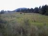 Foto de Terreno campestre panoramico tlalpan-agencias inmobiliarias