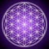 Foto de Psicoterapia gestalt. Tanatologia