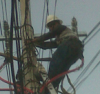 Foto de Grupo zygtec