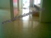 Foto de Pulidos mexico