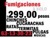 Foto de Fumiga299