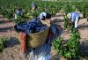 Foto de Bodegas san isidro de jumilla