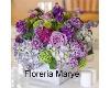 Foto de Floreria maryel