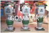 Foto de Gommar, gmez martnez.