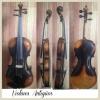 Foto de Violines Antiguos