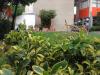 Foto de Escuela Susana Alard�n Gonz�lez