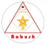 Foto de Babush Contractor