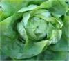 Foto de Dasa organics