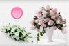 Foto de Flores Elegantes de Mxico