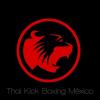 Foto de Thai kick boxing mxico