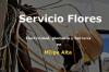 Foto de Servicio Flores