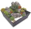 Foto de LandSCAPE mini paisajes