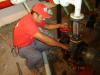Foto de Mantenimiento romero