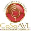 Foto de CoSo AVL