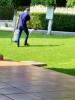 Foto de Tecni-fum manejo integral de plagas
