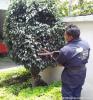 Foto de Herol Integradora de Servicios.