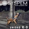 Foto de Syspem servicios y soluciones para empresas